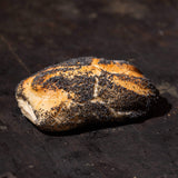 Cafe Reinhardt Baguetti Mohn