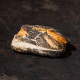 Cafe Reinhardt Baguetti Mohn 1